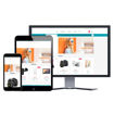 Picture of eCommerce Website - Design #911 General Store